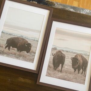 Target Brown Bison Wall Art Set